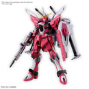 Gunpla HG 1/144 Infinite Justice Gundam Type II,"Gundam SEED Freedom"