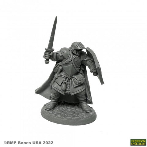 Reaper Mini Dungeon Dwellers: RM07002 Baran Blacktree, Veteran Warrior