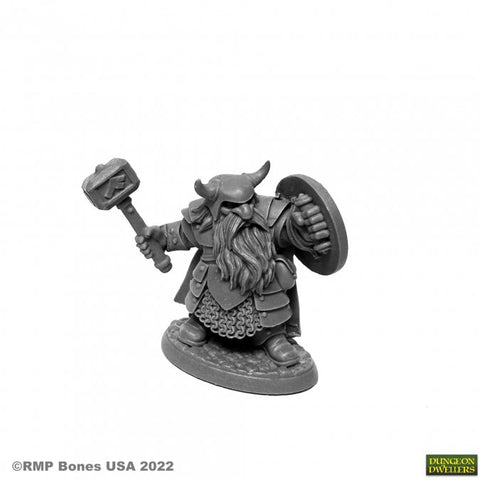 Reaper Mini Dungeon Dwellers: RM07011 Borin Ironbrow