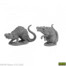 Reaper Mini Dungeon Dwellers: RM07035 Barrow Rats (2)