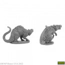 Reaper Mini Dungeon Dwellers: RM07035 Barrow Rats (2)