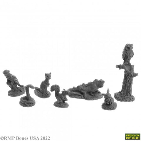 Reaper Mini Dungeon Dwellers: RM07049 Familiars 2