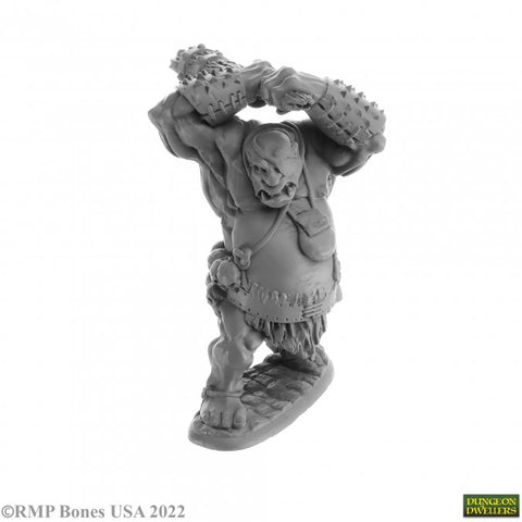 Reaper Mini Dungeon Dwellers: RM07061 Ogre Smasher