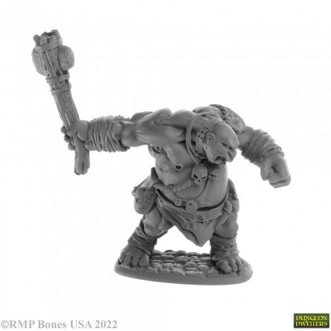 Reaper Mini Dungeon Dwellers: RM07062 Ogre Clubber