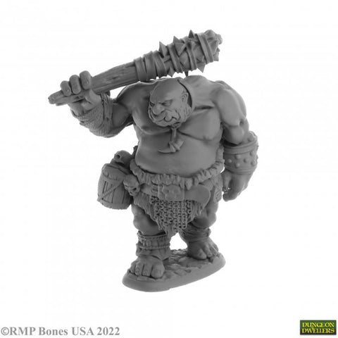 Reaper Mini Dungeon Dwellers: RM07063 Ogre Guard