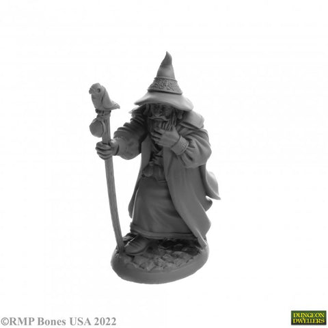 Reaper Mini Dungeon Dwellers: RM07068 Landol Griswold, Human Wizard