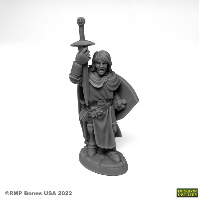 Reaper Mini Rm07076 Sir Danarel the Holy