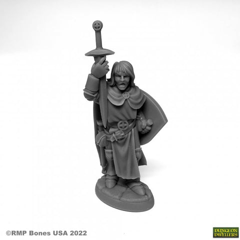 Reaper Mini Dungeon Dwellers: RM07076 Sir Danarel the Holy