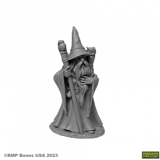 Reaper Mini Rm07077 Dungeon Dwellers: Anuminar Winterbeard, Wizard