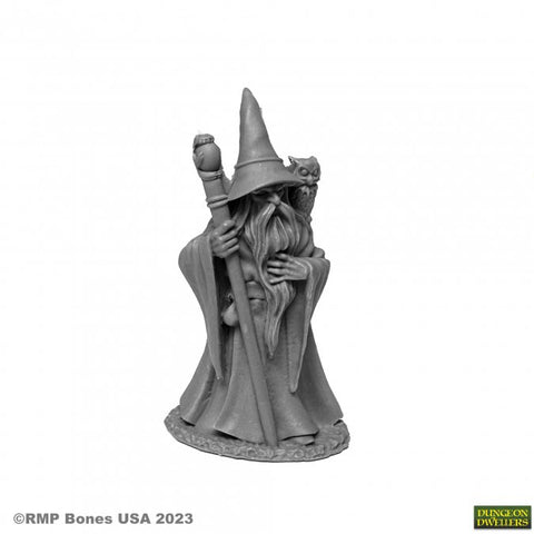 Reaper Mini Dungeon Dwellers: RM07077 Anuminar Winterbeard, Wizard