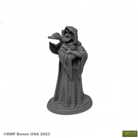 Reaper Mini Dungeon Dwellers: RM07079 Zenfis Zadar, Wizard