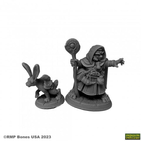 Reaper Mini Dungeon Dwellers: RM07096 Hollis Grayheath and Verbena
