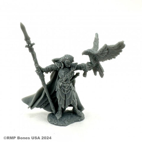 Reaper Mini Dungeon Dwellers: RM07120 Wood Elf King