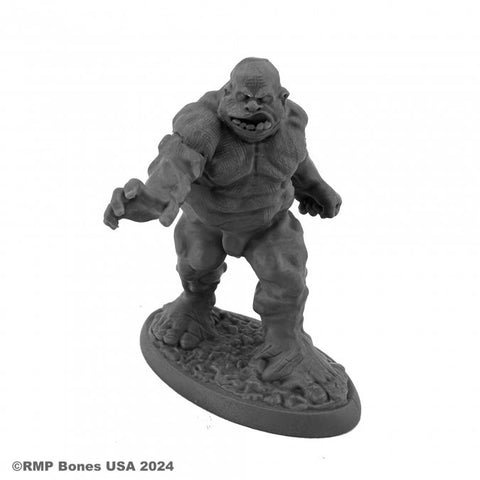 Reaper Mini Dungeon Dwellers: RM07140 Clay Golem