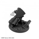 Reaper Mini Dungeon Dwellers: RM07214 Sir Toren Mael, Kingslyre Knight