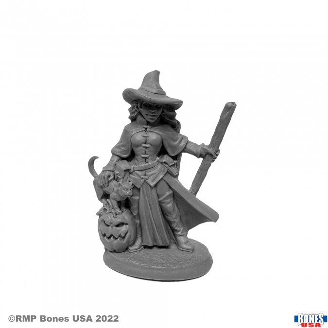 Reaper Mini Rm30103 Cynthia the Wicked Witch
