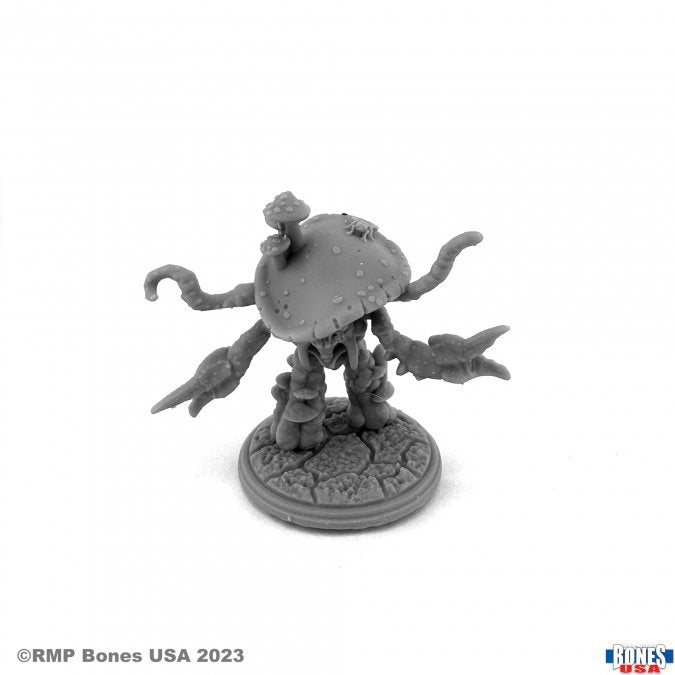 Reaper Mini USA RM30165 Fungoids (3)