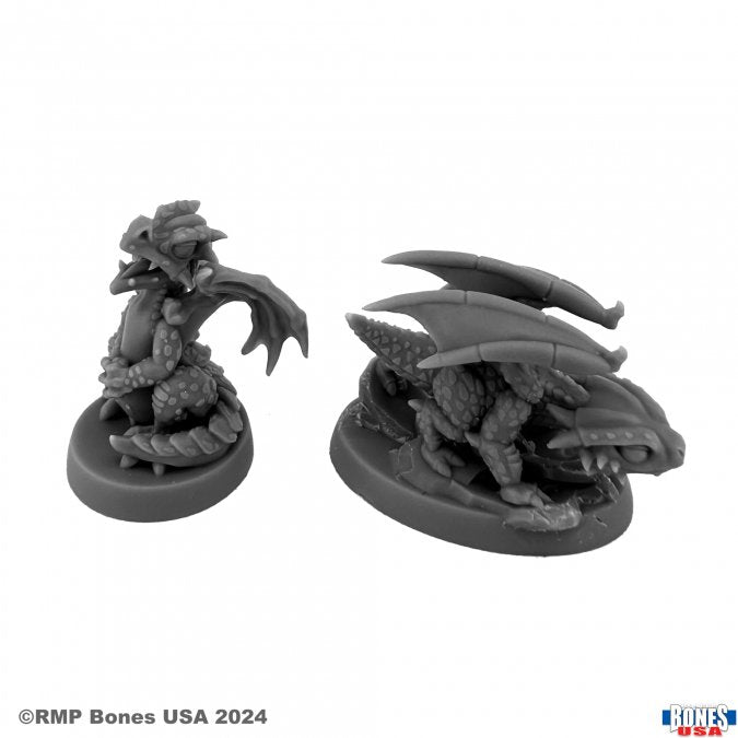 Reaper Mini USA RM30173 Dragon Hatchlings (2)