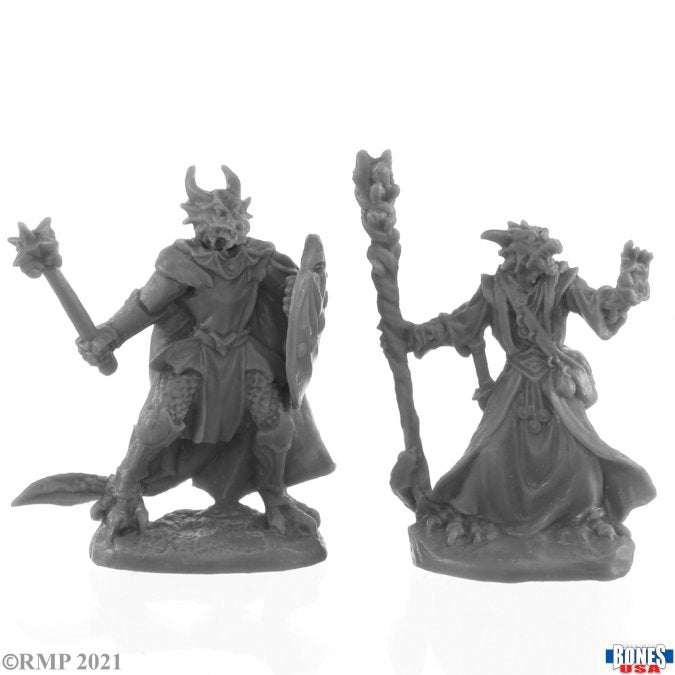 Reaper Mini Dungeon Dwellers: RM30222 Dragonfolk Wizard and Cleric