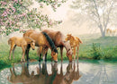 Cobble Hill Puzzle 350 Piece Horse Family (Family)