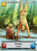 Experience (5/0) (5/0) [Miscellaneous]