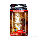 Wizkids Minis D&D 72624 Dwarf Male Cleric
