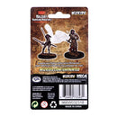 Wizkids Minis D&D 73343 Aasimar Female Paladin