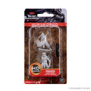Wizkids Minis D&D 73390 Male Human Druid