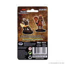 Wizkids Minis D&D 73390 Male Human Druid