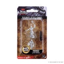 Wizkids Minis D&D 73398 Nameless One