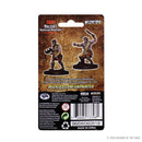 Wizkids Minis D&D 73398 Nameless One