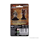 Wizkids Minis D&D 73402 Green Hag/night Hag