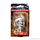 Wizkids Minis D&D 73199 Dragonborn Female Fighter
