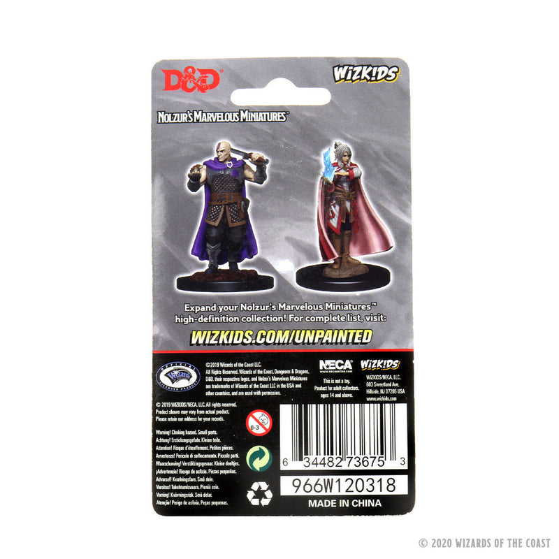 Wizard Devil Mini Wizkids Minis D&D 73675 Minsc & Delina
