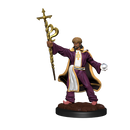 Wizkids Minis D&D 90137 Human Wizard Male