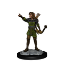 Wizkids Minis D&D 90143 Elf Ranger Female