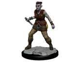 Wizkids Minis D&D 90145 Orc Barbarian Female