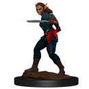 Wizkids Minis D&D 90148 Shifter Rogue Female