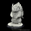 Wizkids Minis D&D 90597 Paint Night Kit: Giant Space Hamster