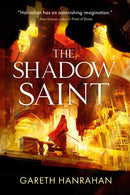 Novel Black Iron Legacy 2: The Shadow Saint