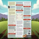 Bg Barbearian Battlegrounds