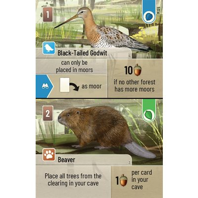 CG Forest Shuffle: Dartmoor