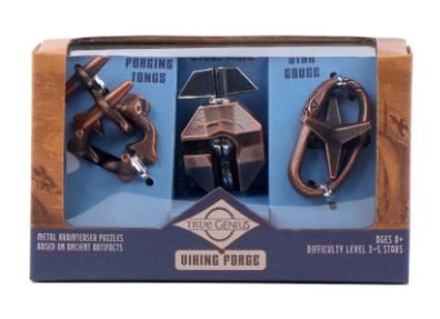 True Genius Logic Puzzles - Viking Forge