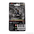 Wizkids D&D Miniature 93012 Female Tabaxi Rogue Prepainted