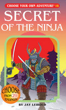 Novel Choose Your Own Adventure: Secret Of The Ninja