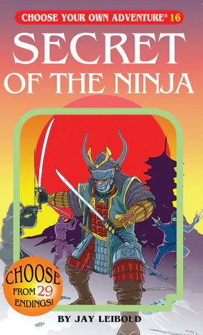 Novel Choose Your Own Adventure: Secret Of The Ninja