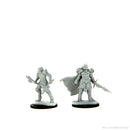 Wizkids Minis D&D 90302 Dragonborn Fighter Female