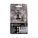 Wizkids D&D Miniature 93006 Dragonborn Female Paladin Prepainted