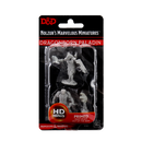 Wizkids Minis D&D 90002 Male Dragonborn Paladin