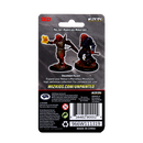 Wizkids Minis D&D 90002 Male Dragonborn Paladin